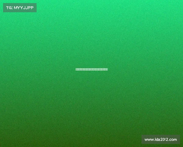 租借球员在足球队阵容中的重要性与影响力分析